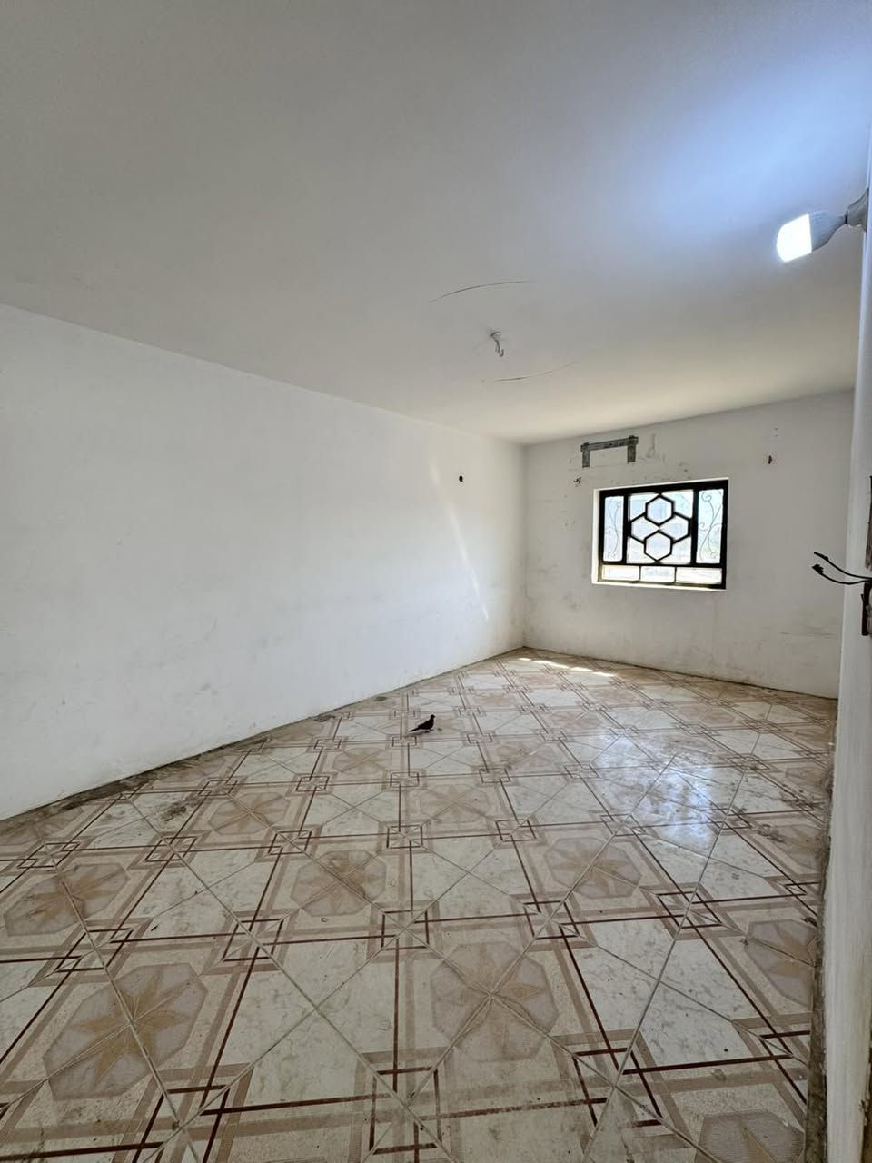 بيت #للايجار محاربين نهايه شارع الامراء طابقين يحتوي على 

4غرف نوم .كلندور.مطبخ. صاله، وصحيات كراج سياره .حديقه. 

للاستفسار مراجعه مكتب الخضراء للعقار

***********
***********
