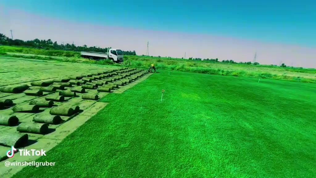 مزارع  الشمال للثيل الطبيعي 🍀
متوفر كافة انواع الثيل 🍀
( امريكي - الهندي - الايطالي - الفرنسي )
لتجهيز... مشاتل🌴
والدوائر حكوميه🏦
منازل🏡 
منتزهات🏄
موجود خدمة توصيل 🚕
لكل محافظات العراق 🚕
للطلب يرجى التواصل مع الصفحة او مراسلة واتساب او الاتصال على :
***********
