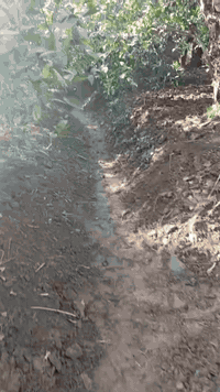 شعندك شغل كسار كطال تكويب درچ دفان تراب اتصل عل الرقم 07500589041 0786...