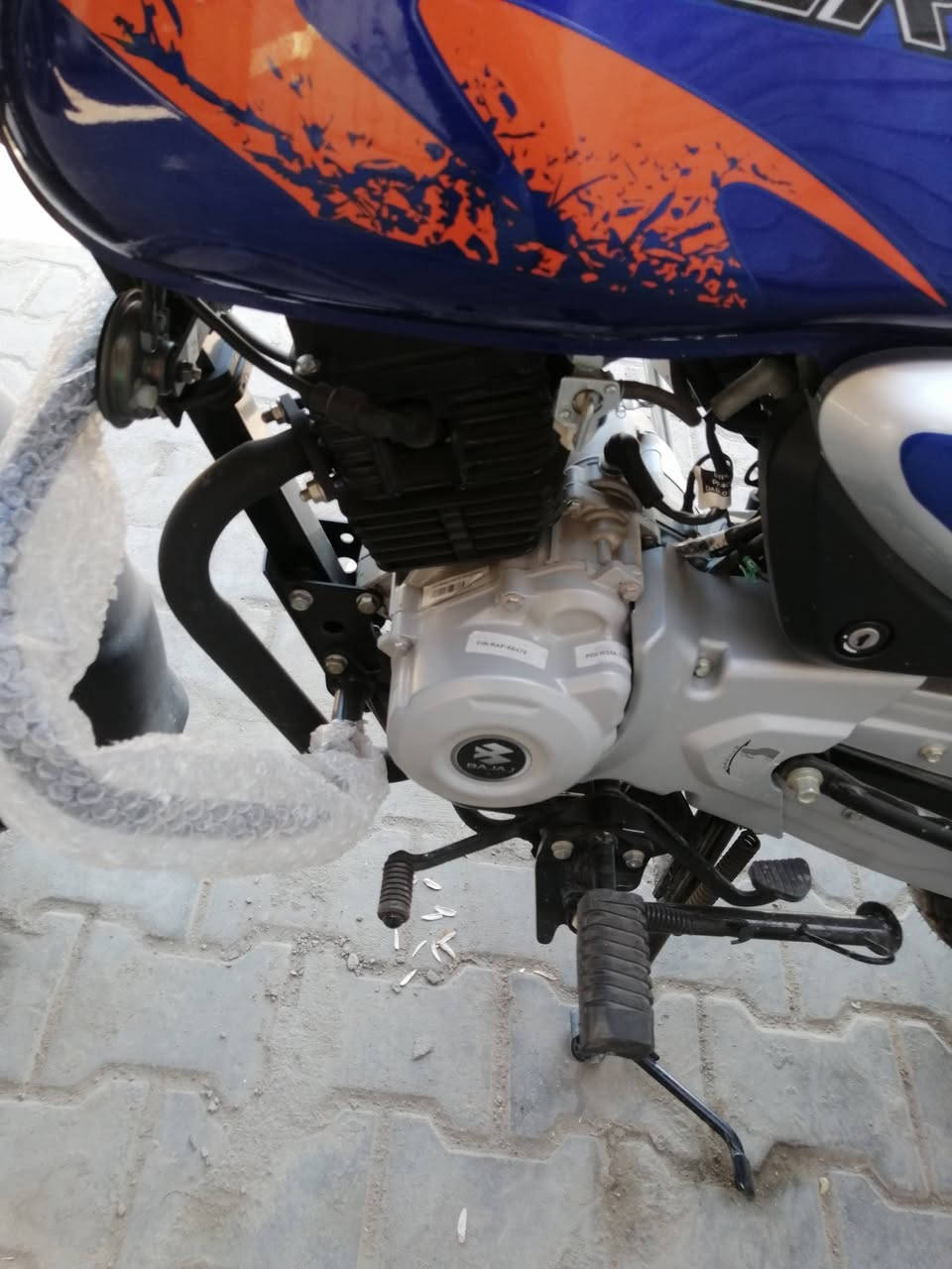 السلام عليكم شباب بوكسر فحل للبيع موديل 25 طالعه بال 26 من الوكيل رقمه سنوي اربيل  تريد وكاله تريد تحويل دراجه زيرو سعر مليونين و850 بيها مجال للشراي عنوان بصره حي الحسين بس الشراي يتصل على الرقم ***********
