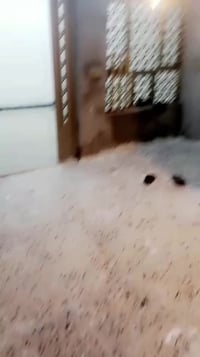 بيت للايجار • بغداد • جسرد القدم