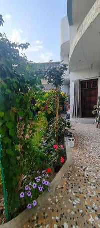 تحيه طيبه للبيع دار ملك صرف حي الجامعه بمساحه 300 م بواجه 15 م نزال 20...