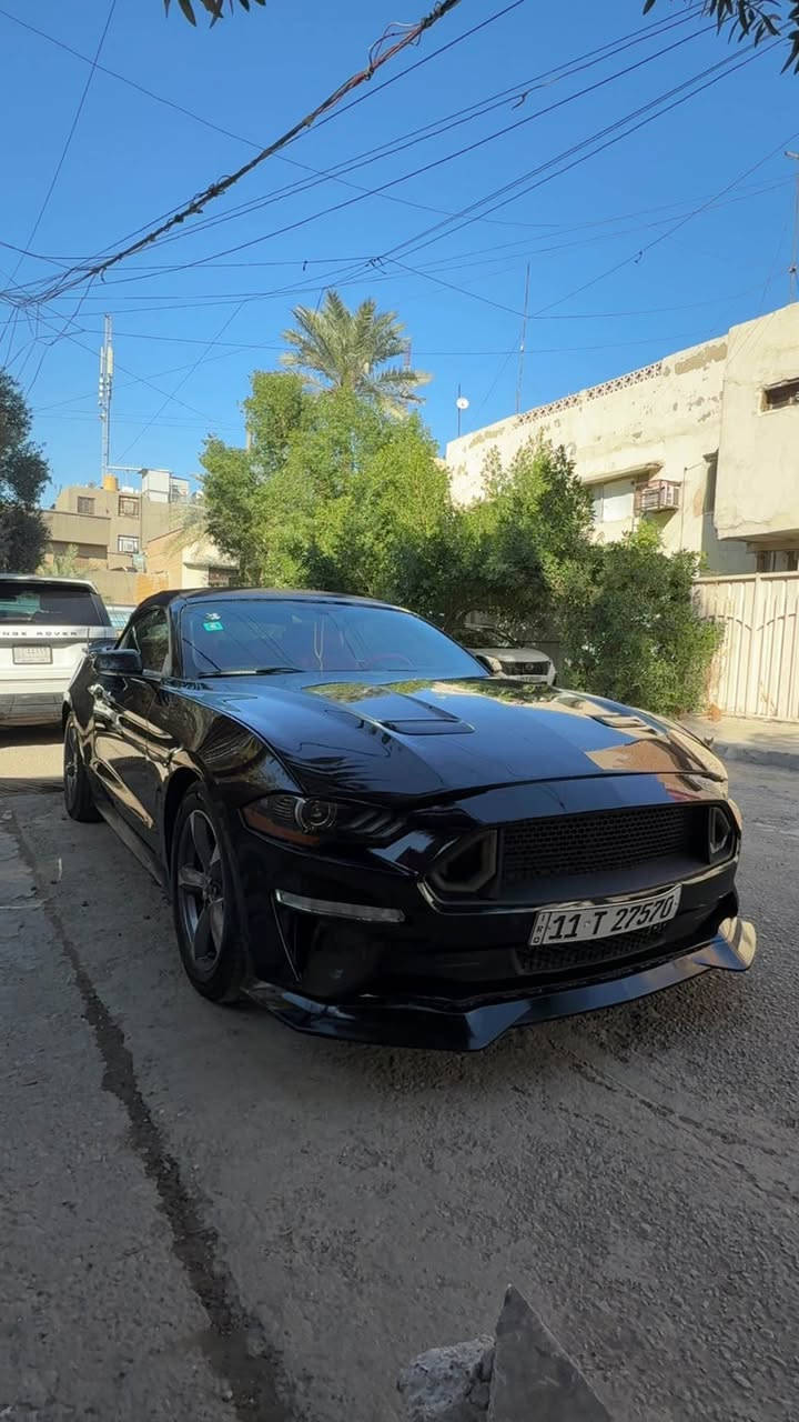للبيع موستنك ٢٠١٨ ايكو محرك ٢٠٠٠ توربو 
سياره فول مواصفات كامله مكملة بيه ٤ قطع ابيعها حزام سياره كير محرك كفالة مابيه نقص سياره المحرك الي عليه جديد للاستفسار عل *********** 
سعر ١٣٠ وبيه مجال بسيط بغداد, العراق
