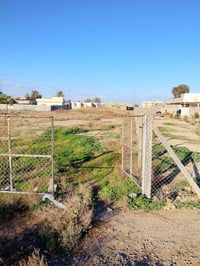 دونم زراعي • سند 25 • الغالبيه