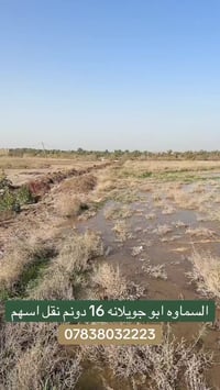 ابو جويلانه • ١٦ دونم • جاهز للزراعة