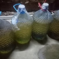 نفط هذا الشهر • للبيع • كركوك حي عسكري