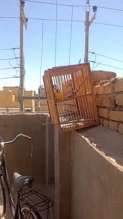 السلام عليكم
اخواني الاعزاء عندي غراض للبيع 
بلبل هوه والقفص سعر 40الف   بيه مجال وحشي مال البصره 
كراسي ميوزه طاعم كراسي شويه رايد ترتيب سعر 150 الف بيهن مجال
مكينه حلاقه جديده الماني سعر 20 الف بيه مجال
راتيتر مال انتره سعر 20 الف بيه مال 
كراسي 3 طبلات نايلون 5  سعر كلهن 65 بيهن مجال 
فلانكوات سعر سيت 10 الف شرط جديد 
مراوح 3 سعر الوحده 20 الف نضيفات جدد
باسكال سعر 45 الف بيه مجال 
محد سكاكين كص مثرامه كلهن سعر 40 الف بيهن مجال قليل
العنوان الناصرية مركز رقمي وات ساب 
***********
