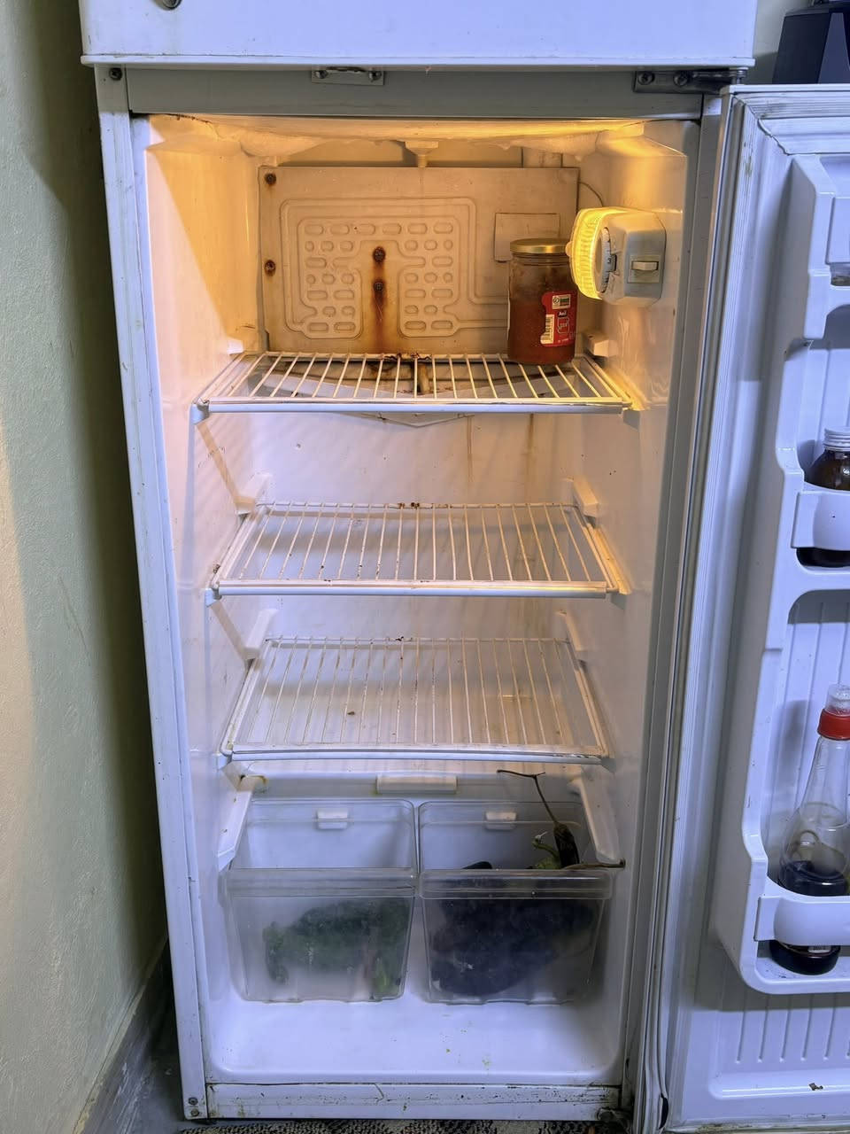 ثلاجه كونكورد الباب الاول حجم وسط نظيفه كلها بلاديه السعر150 مكان الشعله


**إذا كنت صاحب هذا الإعلان وتريد حذفه لأي سبب، رجاءا أرسل رسالة إلى الدعم الفني**