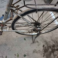 دراجة • بصرة • الجزيرة