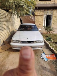 مارك عضم • نجف العباسية • مكفولة