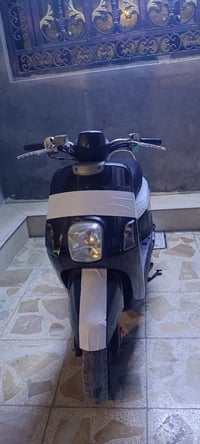 ماكس بوليسي • بلاد 49 • كهربائيات كاملة