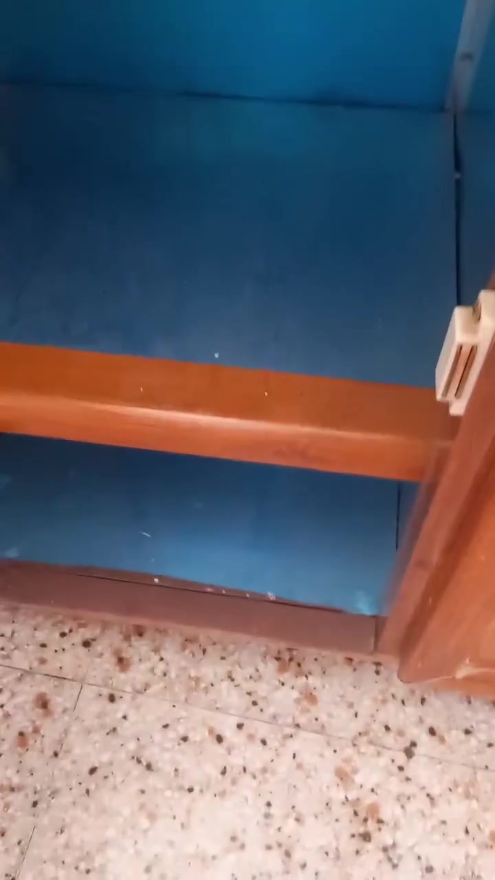للبيع سعر ٦٥بعقوبه المنجره


**إذا كنت صاحب هذا الإعلان وتريد حذفه لأي سبب، رجاءا أرسل رسالة إلى الدعم الفني**
