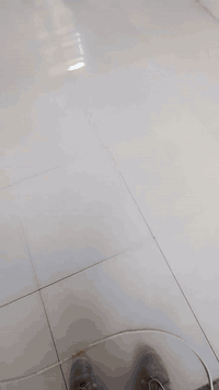 شغل عل شرط فول *********** خلفات 2
