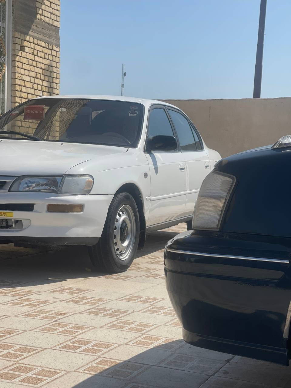 ماشاء الله تبارك الرحمان 🪬
البيع كوالاء 
ممديل١٩٩٢ رقم بصرة مشروع وطني يعني مرحلة 
ريد شرط شرط تحويل إلاتخابر الا ما تحول ريد تحويل اخوان سيارة مال جناي كلش 
 السيارة حلوة وجاهزة دواخل جلد مكينة( ١٦٠٠ )4 براغي 
ماعراف شسمونهة 
تخم تاير حدادية نص عمر تبريد كامل بس صوندة طاكة مال تبريد كهربائيات جاهزة 
سيارة حيل متوب عليهة 
مال بيت 
السعر (٥٣) وماكو هجي سعر بلاش جوة السوك وب خدمة الطيبين 
عنواني البصرة 
***********
