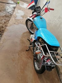 تايگر 2019 • شغال • قابل للتفاوض