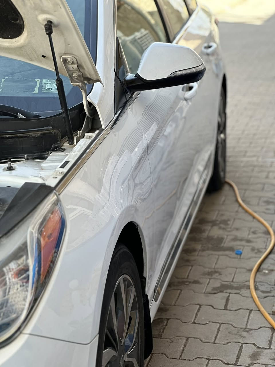 تخم ويل لبيع نضافه فول 
حساس موجود 
450
مكاني نجف 
***********
