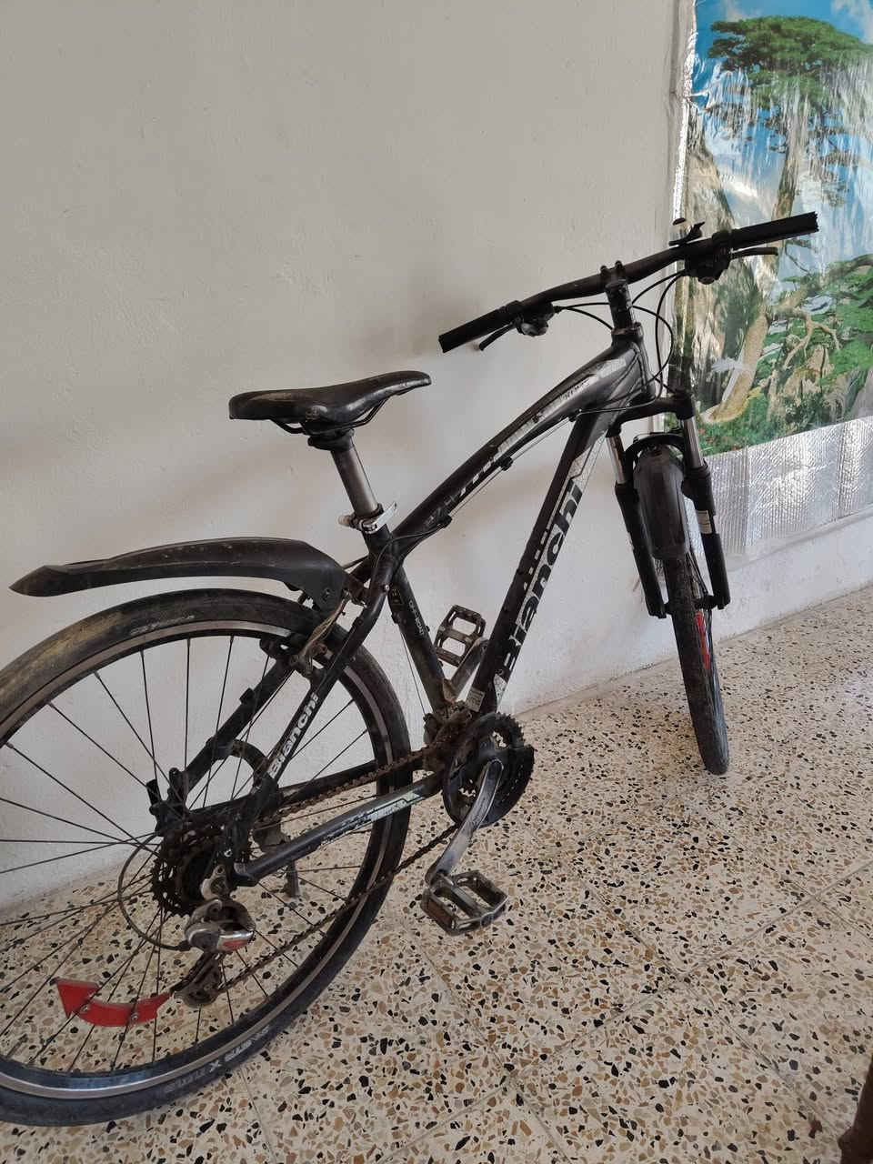 باسكل للبيع حجم 26 ايطالي .جانب الايمن السعر 65


**إذا كنت صاحب هذا الإعلان وتريد حذفه لأي سبب، رجاءا أرسل رسالة إلى الدعم الفني**