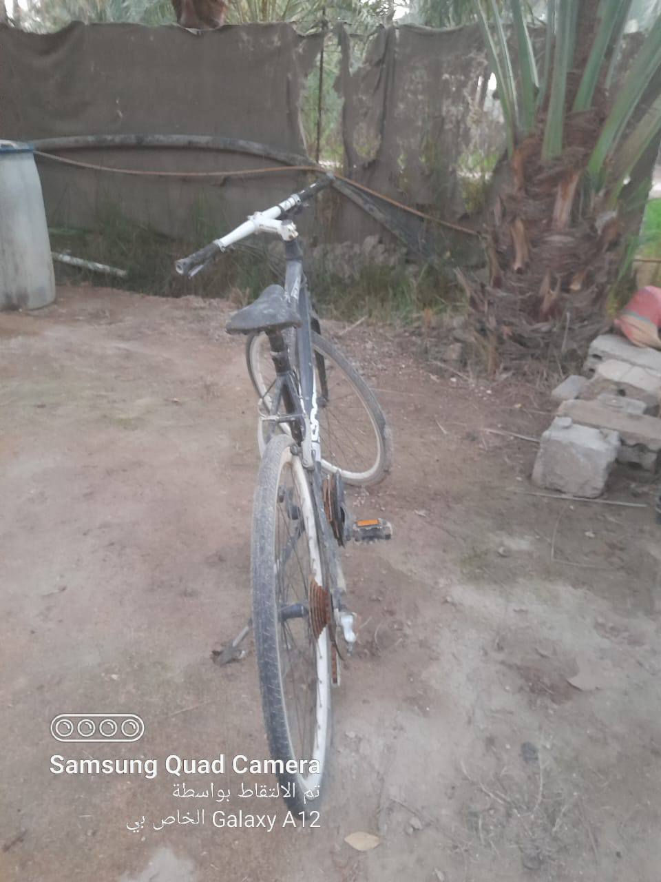 السلام عليكم 
بايسكل رياضي للبيع لسعر 100 آلاف مكاني كربلاء طويريج ( سياحي لدعوم )


**إذا كنت صاحب هذا الإعلان وتريد حذفه لأي سبب، رجاءا أرسل رسالة إلى الدعم الفني**