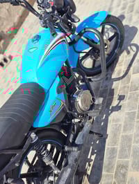 شاينك • ٢٠٢٣ • تحويل ثاني يوم