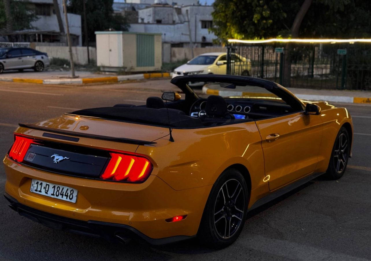 الغزالة للبيع 🧡
موستنك ايكو بوست 2022 كشف لون مميز

ماشية ١٦ الف السيارة بعدها بوضع الشركة وكلش نظيفة

مواصفات السيارة

كشنات كهرباء 🧡

كامرة خلفية 🧡

صندوك كهرباء 🧡 

ترحيب ذكي 🧡

تثبيت مسار 🧡

نقاط عمياء 🧡

رادارات محيطه خلفي وجانبي 🧡

تحكمات ستيرن 🧡

شاشة كبيرة 🧡

كار بلي 🧡

وغيرها هواي مواصفات ومواصفات الايكو بوست معروفة

السيارة حادثها سطحي جدا قطعتين جاملغ وشويه من البنيد واجه من امريكا الجاملغ مرشوش دبل كوت (كلير) بدون دواخل 🧡

السيارة ستوك مملعوب بيها وحتى حجر البيئه مملعوب بي ومكفوله كير ومحرك وتبريد وصدر وجديدات 🧡

السيارة رقمها بغداد الجديد وهزة جديدة وسنوية لل٢٠٣٠ 

السيارة بأسمي تحويل ثاني يوم

السيارة كلش نظيفة ومتتقارن بالمهجومات 🧡

وللعلم قبل ٣ ايام مبولشها للسيارة يعني تلمع لمع 🧡

مكان السيارة اليرموك بغداد 

سعر السيارة ١٨٥ وبيها مجال 🧡
للتواصل 
***********
