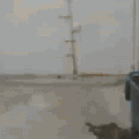 منطقة الصياده • ٢٠٠م • غرفتين