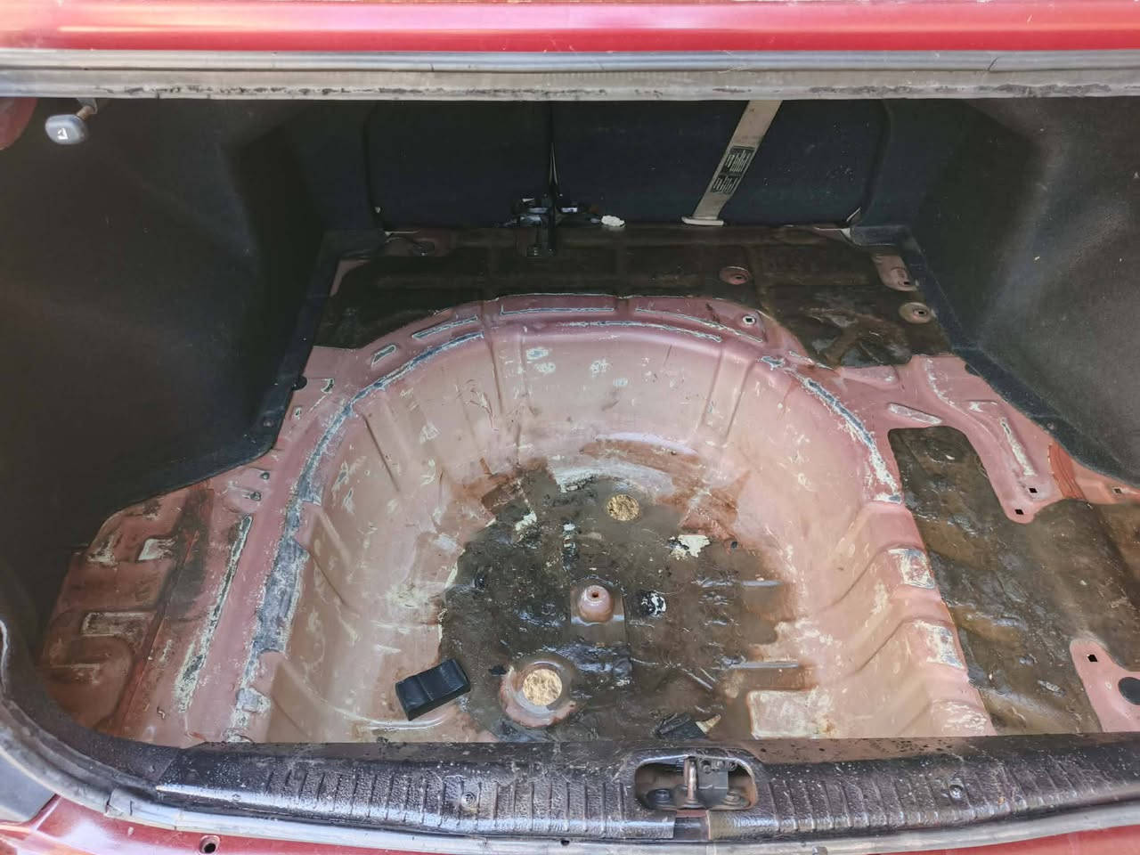 سلام عليكم البيع سبكتره موديل ٢٠٠٦ مكفوله من اي ضربه مصبوغه عام جماليه اخوان سياره جاهزه مكينه وكير وحداديه وتخم تاير وتبريد وكهربايات خير من الله مكينه ٢٠٠٠ دوش بيه حادثه جاملغ امامي بدون اي داخل رقم بغداد دولي بسمي تحويل ثاني يوم السعر ٧٧ وبيه مجال مكانه كوفه جسر ام عباسيات ***********
