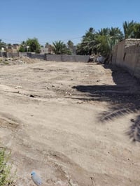 قطعه زراعي • سند 25 تحويل مباشر • النيل قرب المرجان