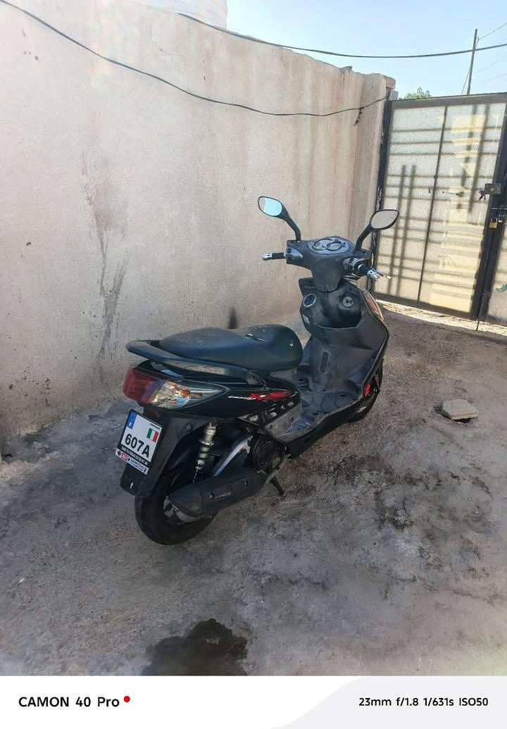 للبيع سكنس فحل  صاله سبوع من نزلناهه رمبه دراجه جديده بمعنه لكلمه نكره سلف دراجه سعر 1100 حوه ال 1000 لا دك عليه رقمي *********** بي وتساب مكاني بغداد جسر دياله
