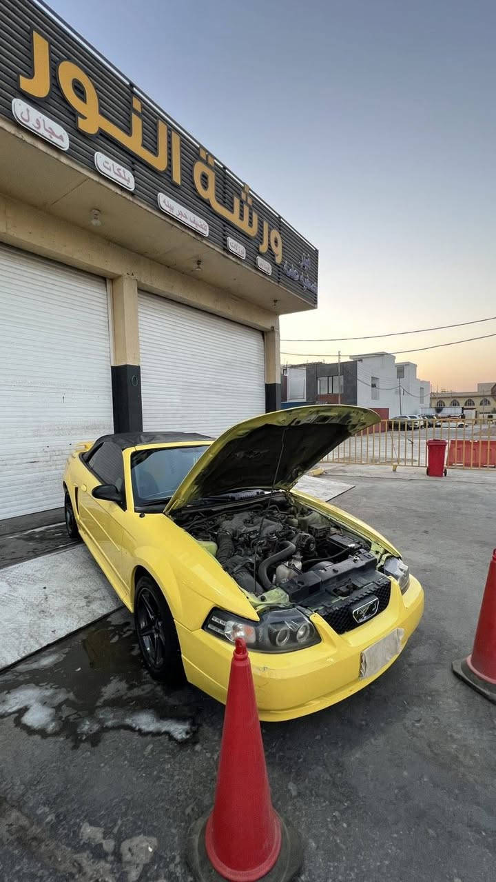 دوات دخول ماراتي كفاله كص وفتح وسرقه وعشائر رقام وسنويه وهزه اربيل طبق لأصل سياره مكينه سته سلندر بلاد تشك  الكاع شلعه ومعدل  كير ومكينه وحداديه 100/100
جام اربعه كهربائي كشف يدوي كشنات جلد كهربائيه تحكم ستيرن شاشه كامره سستم صوت   تبريد وتدفئة وي السويج نضام يوبي اس هواي مواصفات سياره بريميه فول تخم تاير ويل وفجوج رياضيه عليها شوته وكزوز رياضي طرب سياره جاهزه بمعنه الكلمه جديده  حيل ماشيه160الف حقيقي  كلش جديده  مكفوله من الضربه  ول خياس ول معجون السوك كلشي بي عجبك هلا بيك ما عجبك لا تعلق وتصير ابو ال عريف سياره نادره  بس هيه وبعد وحده منها بل بصره شبابيه وكلاسك وخير من الله ذاكر كلشي لاستفسار ‭
‭***********‬ ‬

#فورد #موستنك #gt #10_speed
سلام عليكم خوان البيع او المراوس  مكاني بل بصره موستنج  سبورت2003  خليجيه سعرها43 بيها مجال بسيط
دوات دخول ماراتي كفاله كص وفتح وسرقه وعشائر رقام وسنويه وهزه اربيل طبق لأصل سياره مكينه سته سلندر بلاد تشك  الكاع شلعه ومعدل  كير ومكينه وحداديه 100/100

دوات دخول ماراتي كفاله كص وفتح وسرقه وعشائر رقام وسنويه وهزه اربيل طبق لأصل سياره مكينه سته سلندر بلاد تشك  الكاع شلعه ومعدل  كير ومكينه وحداديه 100/100

دوات دخول ماراتي كفاله كص وفتح وسرقه وعشائر رقام وسنويه وهزه اربيل طبق لأصل سياره مكينه سته سلندر بلاد تشك  الكاع شلعه ومعدل  كير ومكينه وحداديه 100/100
