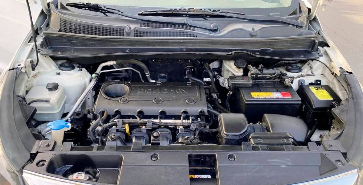 السعر 155
سبورتج ١٤ شكل ١٥ كفاله عامه  مكينه وكير وكشر فول عده البانوراما ولبصمه رقم بصره دولي هزه جديده تخم تاير حداديه تبريد تدفئه جاهزه للأخير
 مكانها ذي قار الرفاعي
 ***********
