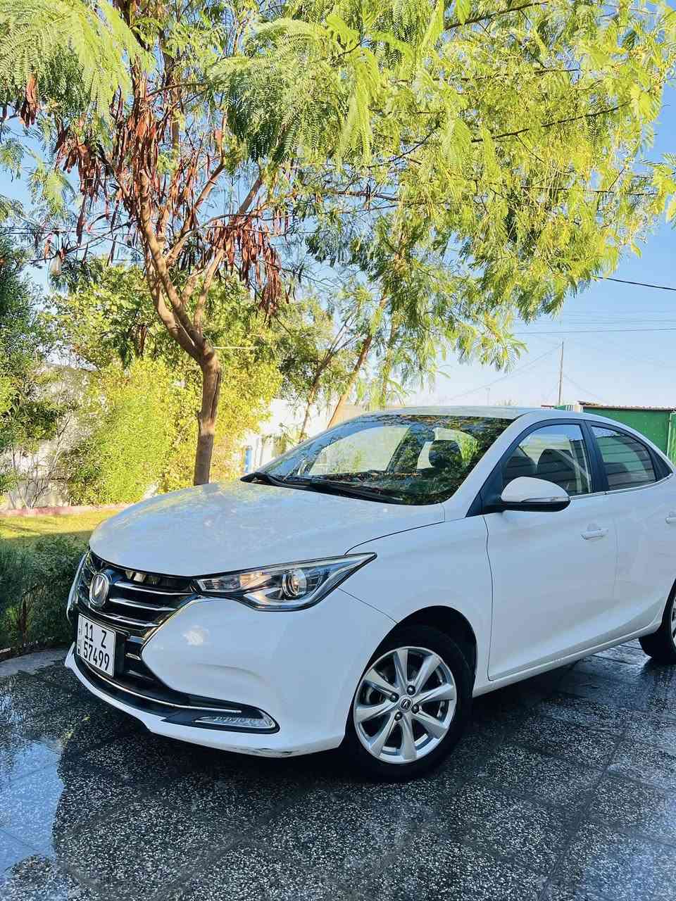 . 
السلام عليكم 
للبيع شانجان السفن     L7  ابيض  2025 
فول مواصفات 
فتحه (سلايت) 
حساسات 
مانع تزحلق 
شاشا كامره  
تحكمات 
نضام S سبورت 
كشنات جلد 

استلام شركه زيرو     حالياً ماشيه ١٧ الف 
كفاله من كلشي. عدا طخه بسيطه بلدواسه مبينه بلصور 
بغداد بأسمي تحويل مباشر 

موقع السياره : العامريه 
رقم الهاتف   : *********** 
السعر  :  99 $  وماكو هيج سعر
