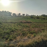 بابل السياحي • ٧دوانم • طابو الهاشمية