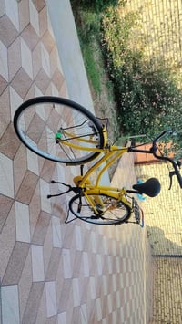 بسكليت • معدلة سرج • جديدة جداً