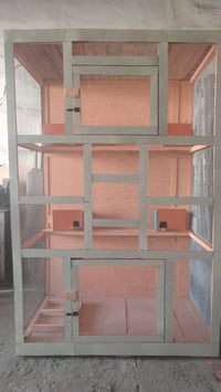 قفص • رمادي • الأنبار