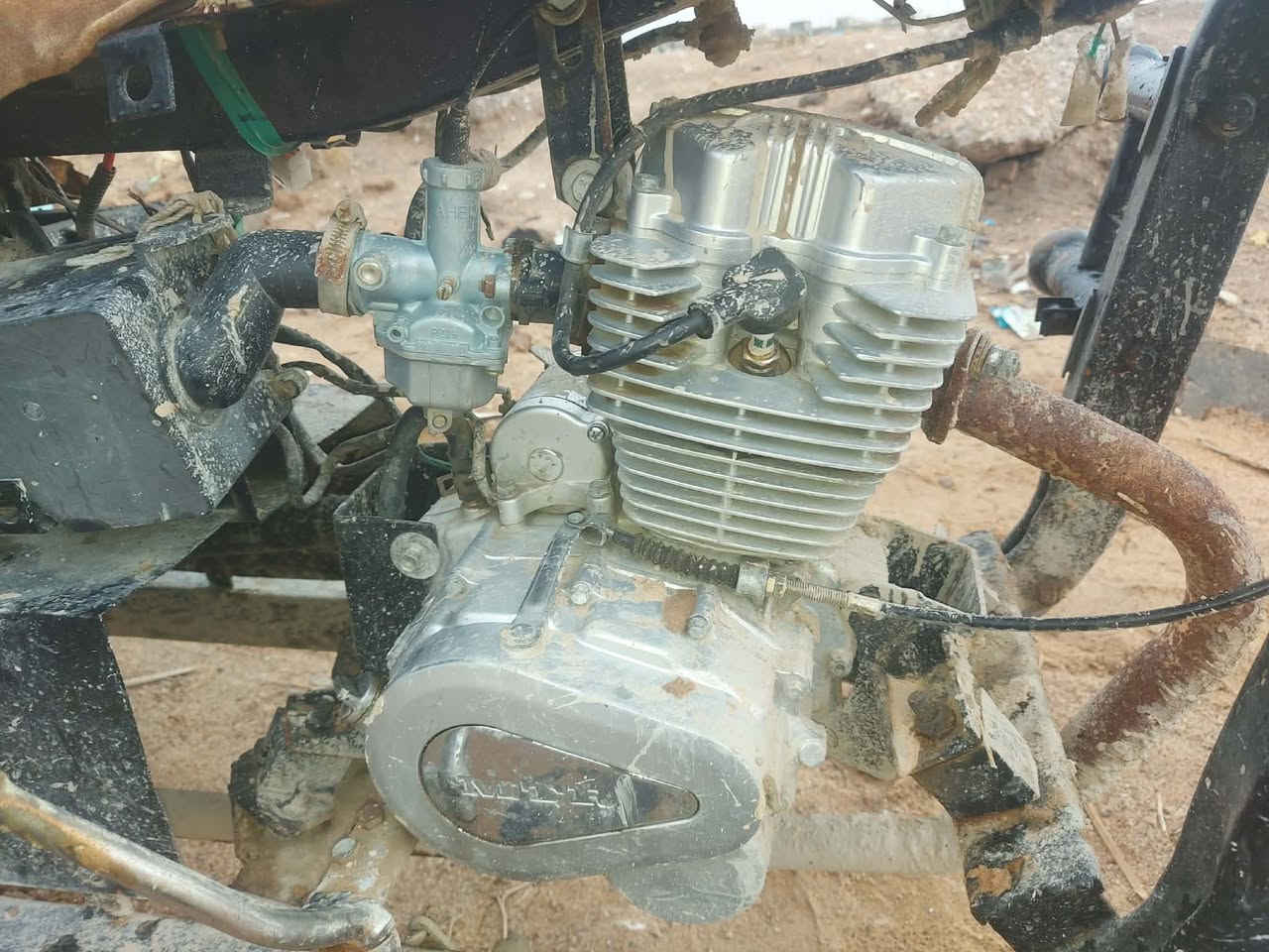 مكلفة بنشر سلام عليكم عندي هاي ستوته  البيع كلك بس شرط أطيك محرك وشاصي بلجيس شهد العباس عليه مكاني بلكوفه سعر 550  وبية مجال بسيط والريد رقم  يتفضل خاص


**إذا كنت صاحب هذا الإعلان وتريد حذفه لأي سبب، رجاءا أرسل رسالة إلى الدعم الفني**