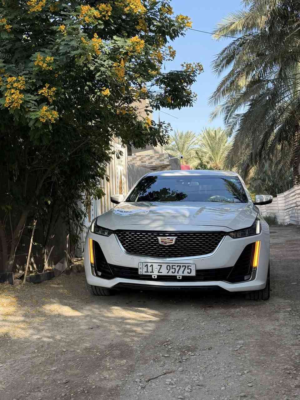 كدلاك ct5 
2023
***********
السعر 225 
حادث فقط بنيد ودعاميه الجاملغ بارد قليل
