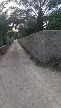 السلام وعليكم القطعه للبيع مساحه 230 متر  واجهه 10 نزال 23 طابو زراعي ...