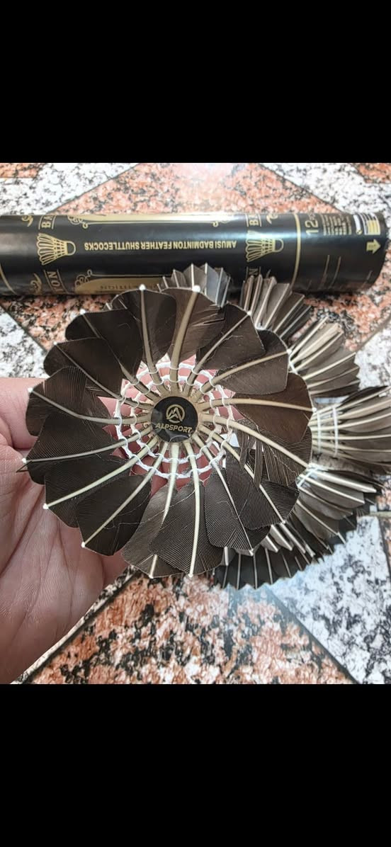 ريش تنس عدد 12 قطعة
15 الف


**إذا كنت صاحب هذا الإعلان وتريد حذفه لأي سبب، رجاءا أرسل رسالة إلى الدعم الفني**