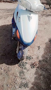 ذبانة سيام للبيع السعر 150 وبية مجال للطيبين ليجي بي خير ويدلل ‏‪07861...