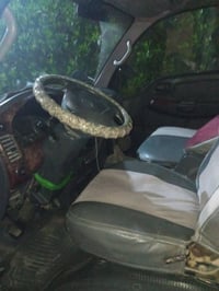 حمل • صدامي • رقم اربيل