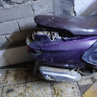 فراشه • شغاله • شاصي نضيف