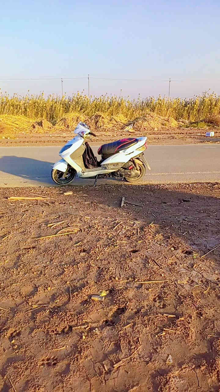 سلام عليكم شون الشباب عندي سكنس فحل ياماها دراجه فول نضافه كدامك كهربائيات كلها شغاله مكينه ناعمة بلاد الدراجه بيها لايتات قوز قزح وبيها سلف رياضي وبيها كلجات رياضي رمبه دراجه بيها اوراق أصوليه يعني واصل الكمرك مالها ضال عل رقم الدراجه كدامكم سعرها ب 600 وبيها مجال بسيط للشراي امانه الله الدراجه مصروف عليها هواي كفراتها ختم واحد للتواصل عل رقم ***********
