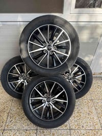 اخوان تخم تاير وتخم ويل   كورلا امريكي 25  بعدهن بحالة وكالة   نظافتهم...