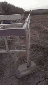 محجر كيه نثيه للبيع مكاني بغداد مقابل بسمايه الاتصال على الرقم ***********او***********     ٣٠٠ وبيه مجال
