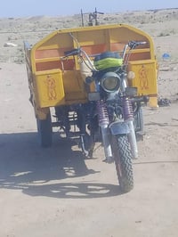ستوته • ٢٠١٩ • اوراق اصلية