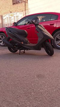 ماكس • ٤٩ • اوراق