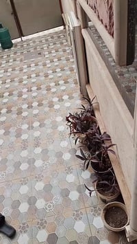 المصاليخ • ١٥٠م • ٤غرف