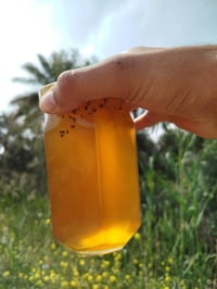 عسل طبيعي • من مناحلي • الأعظمية