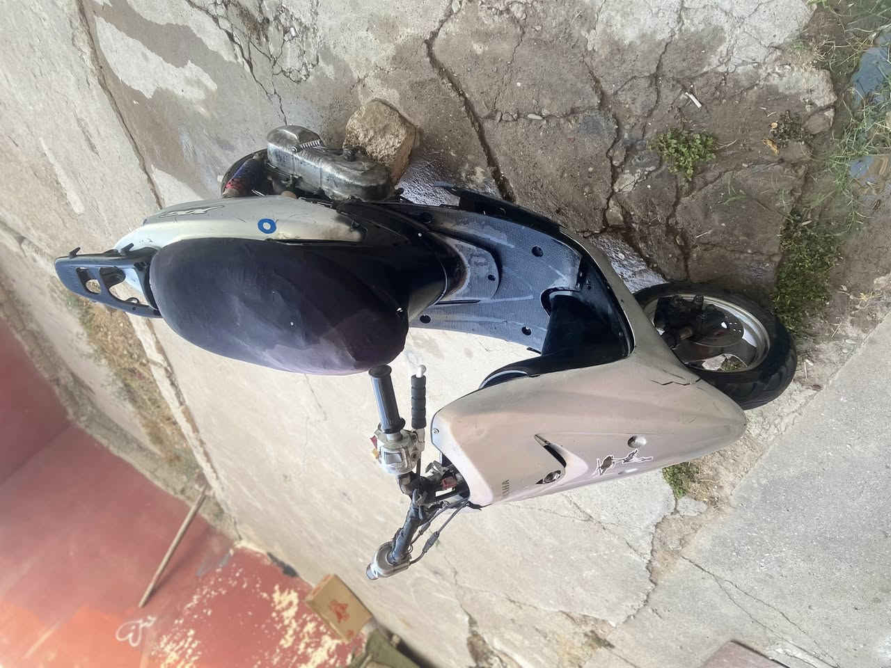 فرخ اكزز
سلام عليكم اخوان فرخ اكزز للبيع شاصي شرط 

ماطور معمر جديد معمر بستم 

1اكزًوز رياضي صجميه 

بستم رياضي 

ماطور كلش حلو السعر ١٥٠ وبي مجال 

مكاني موصل شقق الخضراء ايسر قرب مدرست مكه


**إذا كنت صاحب هذا الإعلان وتريد حذفه لأي سبب، رجاءا أرسل رسالة إلى الدعم الفني**