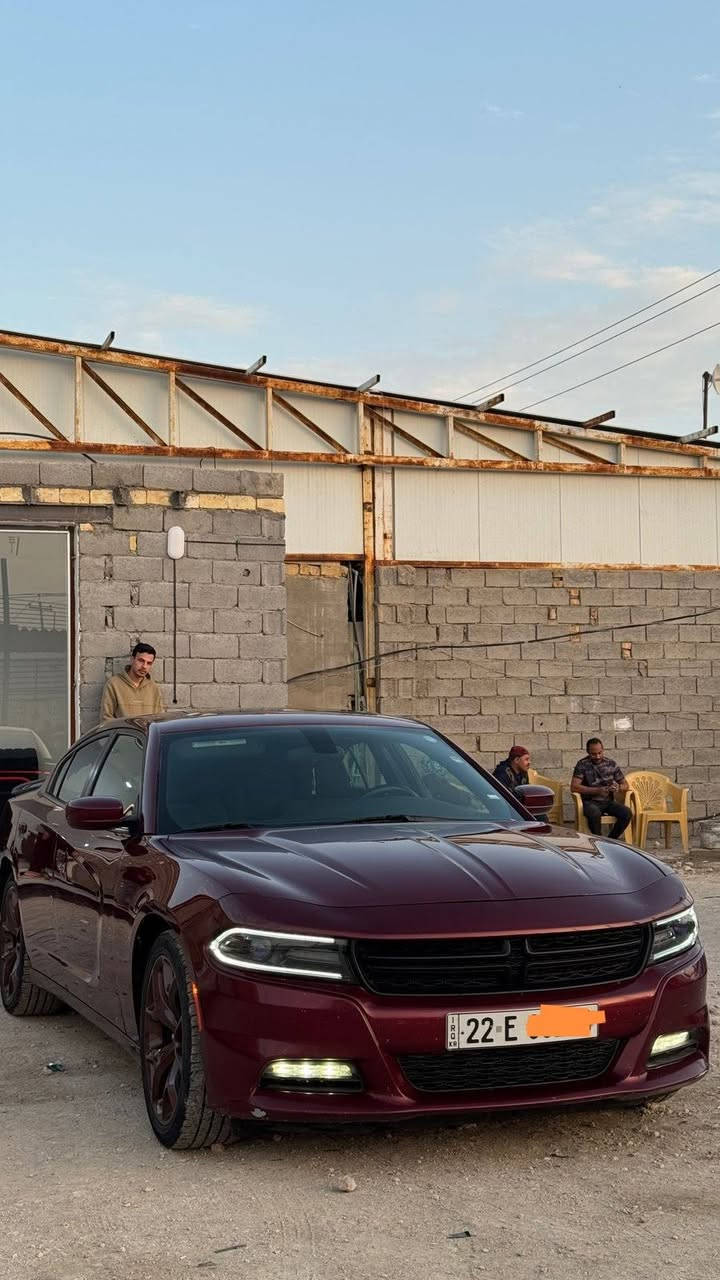 جارجر موديل 2020 أصل 
لون كرزي 🍒 
كفاله عامه كندي كلين تايتل فقط دعاميه مصبوغه بدون داخل وبدون ايرباك وسونار موجود وصورها بالمزاد هم موجودات. 

مسافه مقطوعه 80  استخدام شخصي مال جناي
رقم اربيل تحويل ثاني يوم سنويه وهزه جديده
سياره مواصفات SXT فول
مواصفات 
فول فتحه
محرك 3600
تو ويل
كشنات مخمل
شاشه جبيره
حساسات خلفيه وكامره
كراسي كهربائيه
ويل حجم 20
وباقي مواصفات معروفه
 عليها ادامه بلكامل 
حداديه جديده اصليه وكالة موبار صدر أمامي وخلفي
عبوة فيت بم وكالة موبار
ادامة دهن الكير استبدال ودهن الأكسن للحفاظ على سلامة  الكير والأكسن 
ادامه صيفيه ماي راديتر اصلي برجيستون ومع عبوة  سائل تبريد من شركة ريسنك
عدسات جديدات مسموح بيهن مروريآ شمسيات اصليات
تخم تايرات جديد كوري
سياره جاهزه كل نقص مابيها
(تفيد الجناي واليدور نضيف واستخدام شخصي).
 
*********** 📞
تفاصيل أكثر 
العنوان/ السماوه
